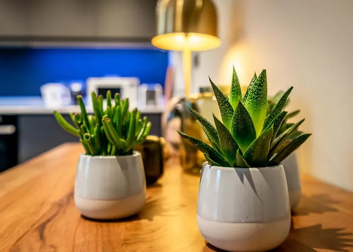 Bootham Row 1 Apartment